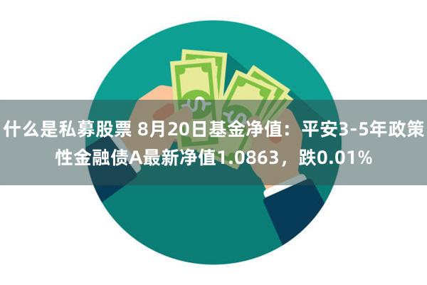 什么是私募股票 8月20日基金净值：平安3-5年政策性金融债A最新净值1.0863，跌0.01%