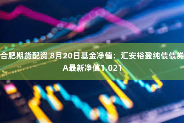 合肥期货配资 8月20日基金净值：汇安裕盈纯债债券A最新净值1.021