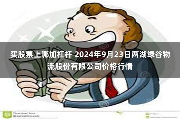 买股票上哪加杠杆 2024年9月23日两湖绿谷物流股份有限公司价格行情