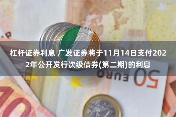 杠杆证券利息 广发证券将于11月14日支付2022年公开发行次级债券(第二期)的利息