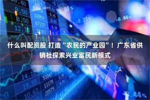 什么叫配资股 打造“农民的产业园”！广东省供销社探索兴业富民新模式