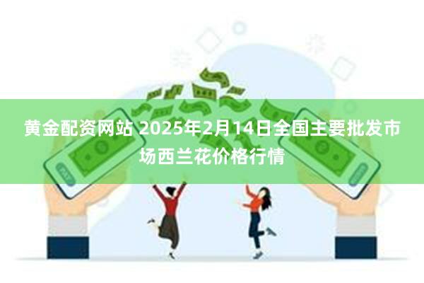 黄金配资网站 2025年2月14日全国主要批发市场西兰花价格行情