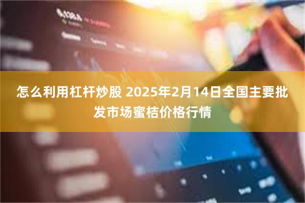 怎么利用杠杆炒股 2025年2月14日全国主要批发市场蜜桔价格行情